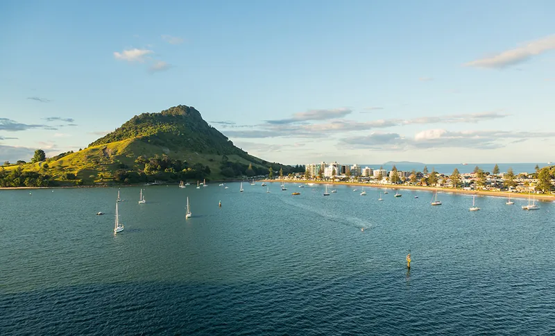 Tauranga — Paragon Bay of Plenty office
